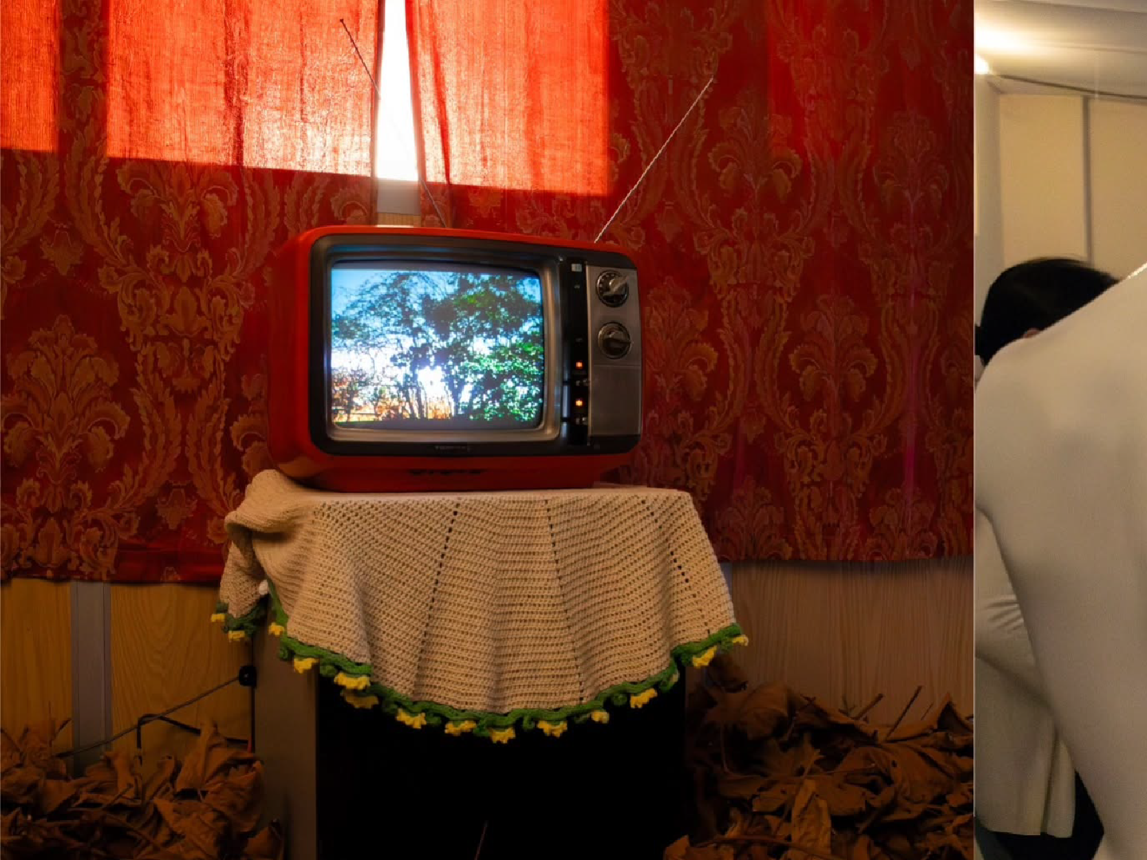 Exhibicion Exhibition Maestria Investigación