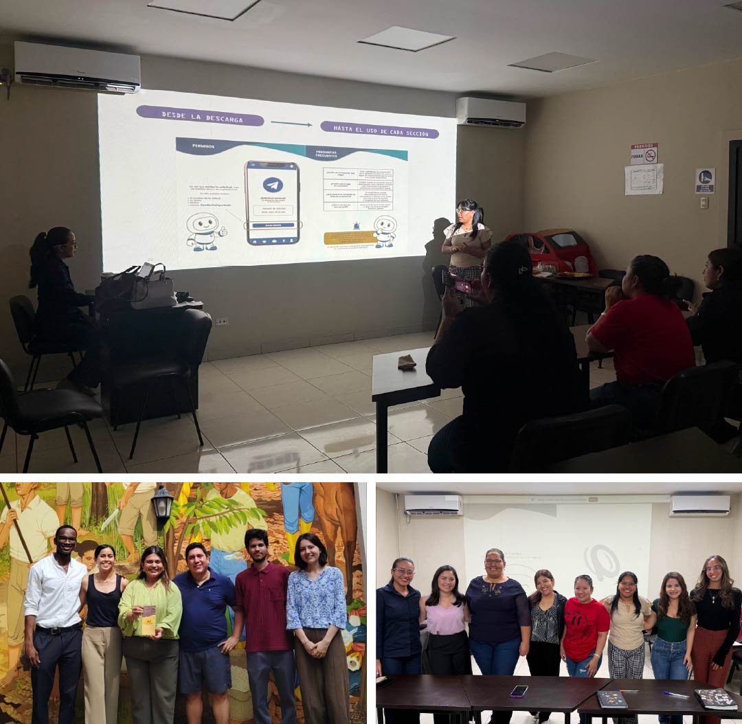 Estudiantes de Diseño Gráfico desarrollan estrategias de comunicación 360° para empresas