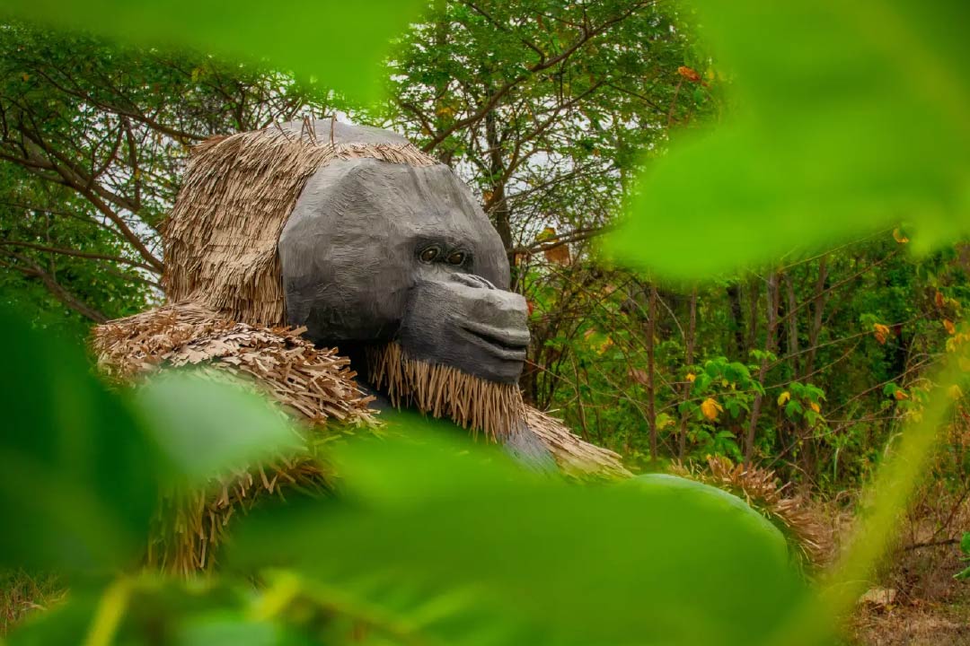 La Tribu Guayaca